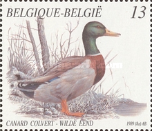 [Birds - Ducks, type BMQ]