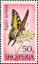 [Butterflies and Dragonflies, type XC]
