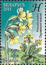 [Flowers - Endangered Plants of Belarus, type ADJ]