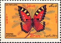 [Fauna - Butterflies, type XG]