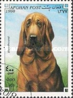 [Dogs, type AOY]