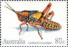 [Insects, type APK]