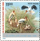 [The 100th Anniversary of the Birth of Salim Ali, Ornithologist, type AYQ]