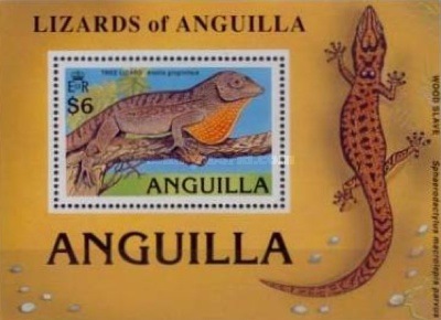 [Lizards, type ]