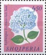 [Flowers, type TW]