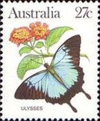 [Butterflies, type AAE]