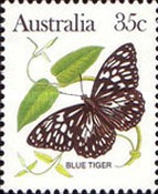 [Butterflies, type AAG]