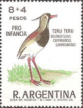 [Child Welfare - Birds, type XY]
