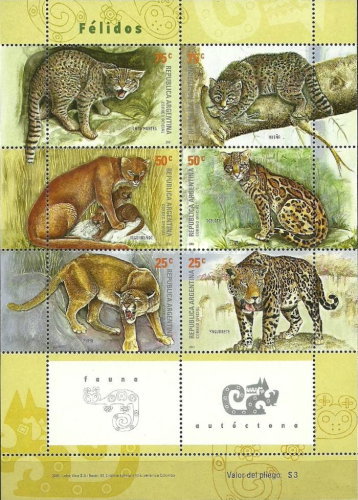 [Wild Cats, type ]