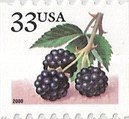 [Fruits - Self-Adhesive, type DEM5]