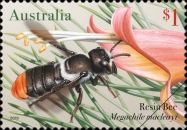 [Native Bees, type EQS]