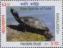 [Rare Turtles of Bangladesh, type AKZ]