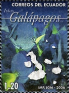 [Fauna of Galapagos Island, type DHB]