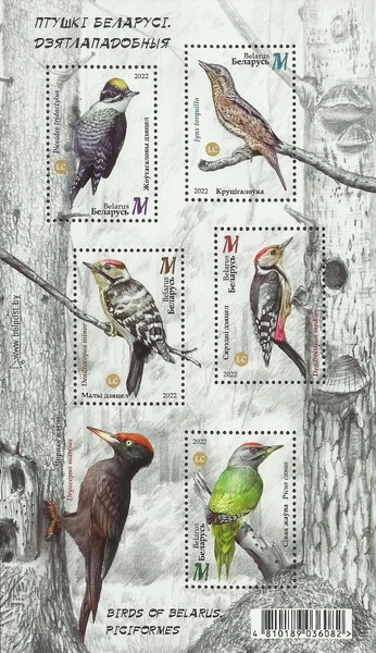 [Birds - Woodpeckers, type ]