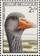[Charity Stamps - Birds, type API]