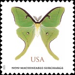 [Luna Moth, type KHE]