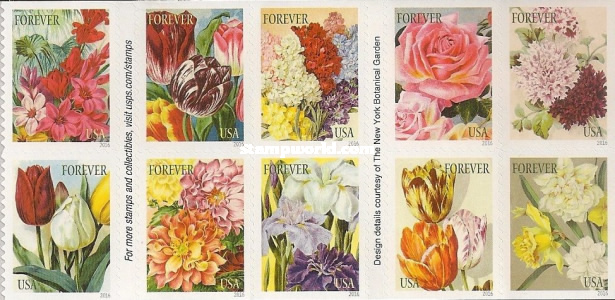 [Botanical Art, type ]