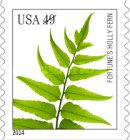 [Flora - Ferns, type GLC]