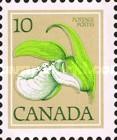 [Wild Flowers, type UV]
