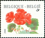 [Flower - Year "2000" Imprint, type CFV1]