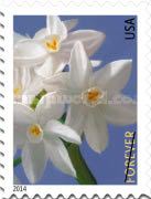 [Winter Flowers, type GLL]