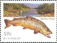 [Fishing in Australia, type CCY]