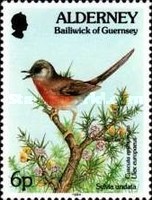 [Flora and Fauna, type BR]