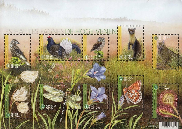 [The 60th Anniversary of the High Fens Protected Nature Reserve, type ]