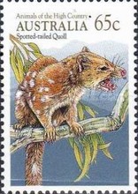[Animals, type ANI]