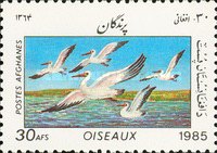 [Fauna - Birds, type ADF]