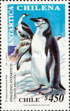 [Antarctica, type BJH]