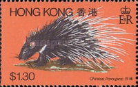 [Wild Animals, type HF]
