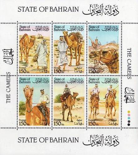 [Camels, type ]