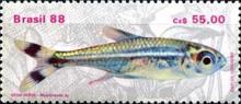[Freshwater Fish, type CHJ]