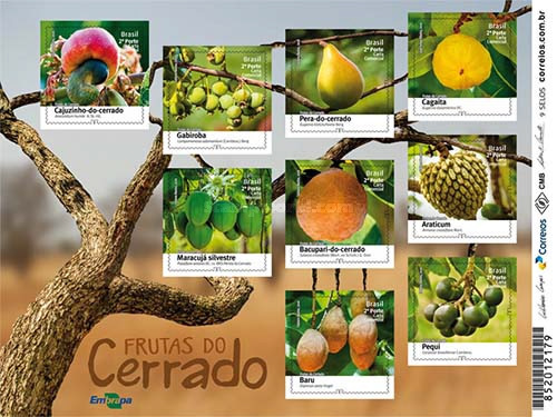 [Fruits, type ]