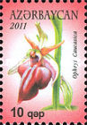 [Garabagh Flowers, type ACY]