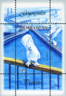 [Birds - Pigeons, type ]