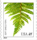[Flora - Ferns, type GLD]