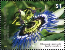 [Flora and Fauna, type DJA]