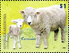 [Sheep in Argentina, type DJH]