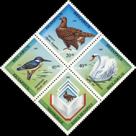 [Rare Birds of Belarus, type ]