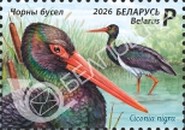 [Birds - The Black Stork, type BMS]
