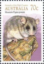 [Animals, type ANJ]