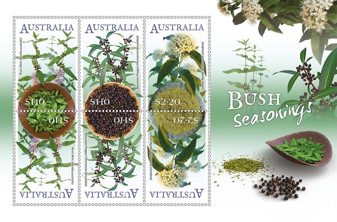 [Bush Seasonings, type ]