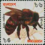 [Insects, type YT]
