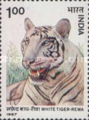 [Wildlife, type AJM]
