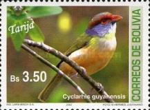 [Birds of Bolivia - Tarija, type BIE]