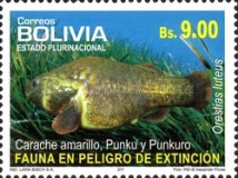 [Endangered Species - Fish, type BOR]
