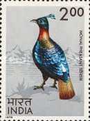 [Indian Birds, type QH]