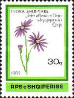 [Plants, type BLP]
